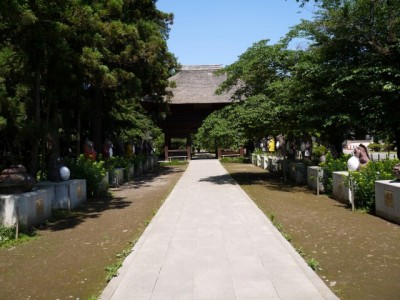 茂林寺の写真7