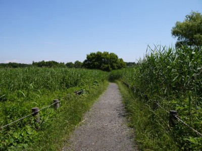 茂林寺公園の写真11