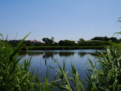 茂林寺公園の写真14