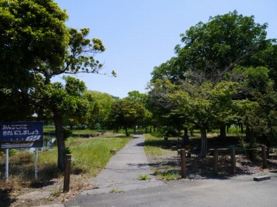 群馬の水郷公園の写真