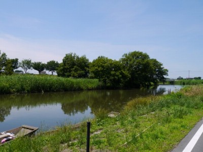 群馬の水郷公園の写真4