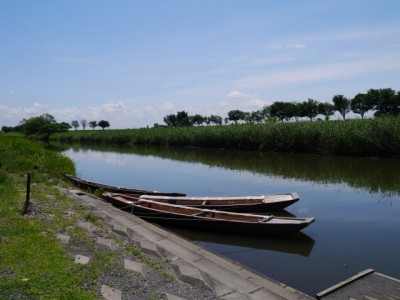 群馬の水郷公園の写真5