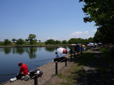 群馬の水郷公園の写真8