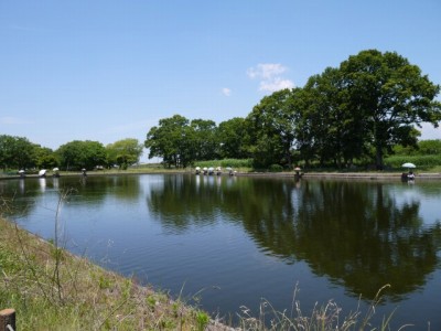 群馬の水郷公園の写真9