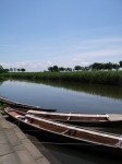 群馬の水郷公園の写真のサムネイル写真12