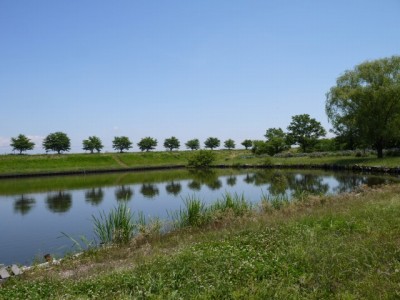 群馬の水郷公園の写真13