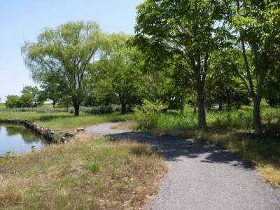 群馬の水郷公園の写真14