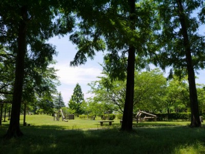 板倉中央公園の写真