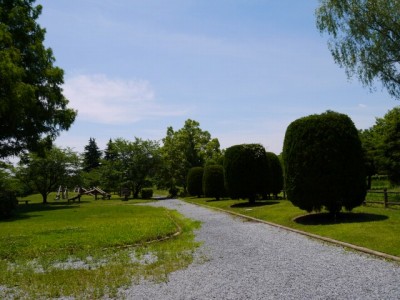 板倉中央公園の写真4