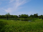 板倉中央公園の写真のサムネイル写真5