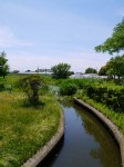 板倉中央公園の写真のサムネイル写真8