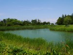 板倉中央公園の写真のサムネイル写真9