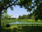 板倉中央公園の写真のサムネイル写真10