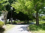 板倉中央公園の写真のサムネイル写真11