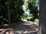 雷電神社の写真のサムネイル写真8