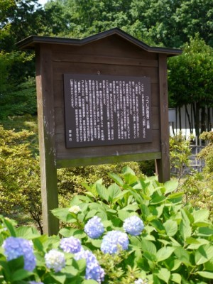 つつじが岡第二公園の写真