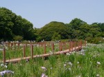 つつじが岡第二公園の写真のサムネイル写真6