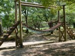 つつじが岡第二公園の写真のサムネイル写真13