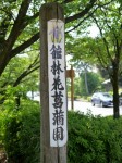 館林花菖蒲園の写真のサムネイル写真8