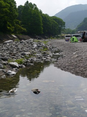 神流川（神流町の河川敷）の写真6