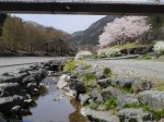 神流川（神流町の河川敷）の写真のサムネイル写真19