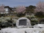 神流川（神流町の河川敷）の写真のサムネイル写真24