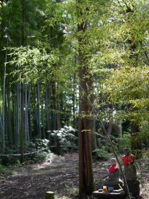 長楽寺の写真11