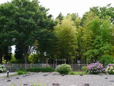 縁切寺満徳寺遺跡の写真11