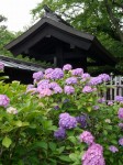 縁切寺満徳寺遺跡の写真のサムネイル写真17