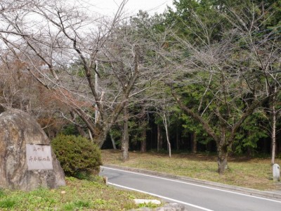 みやぎ 千本桜の森の写真