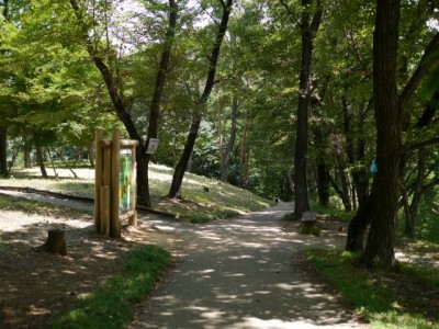 金山城跡の写真6