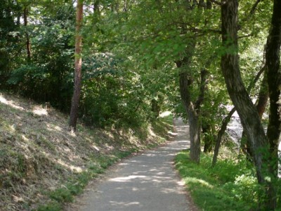 金山城跡の写真8