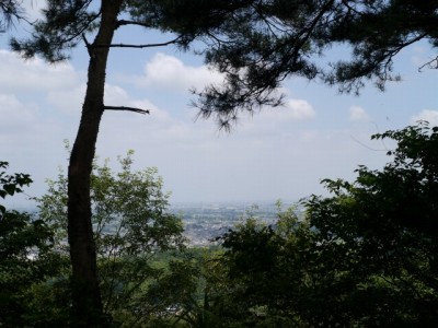 金山城跡の写真10