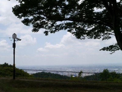 金山城跡の写真30