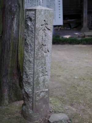 金山城跡の写真40