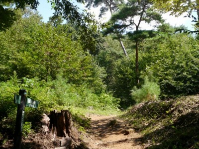 東山公園の写真7