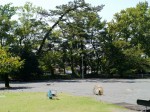 呑龍公園の写真のサムネイル写真2