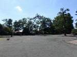 呑龍公園の写真のサムネイル写真3