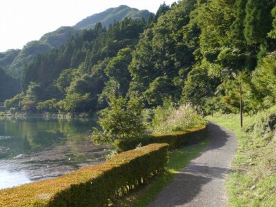 碓氷湖の写真5