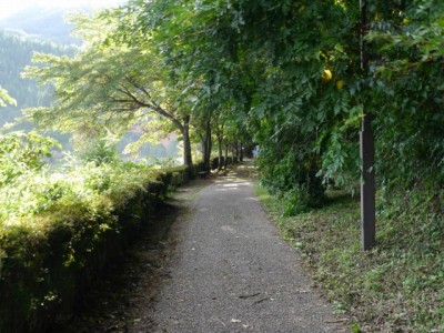 碓氷湖の写真8