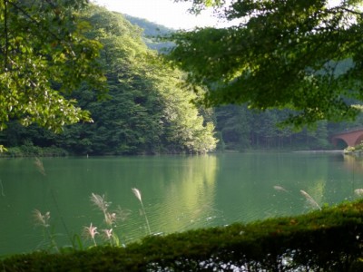 碓氷湖の写真10