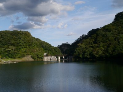 碓氷湖の写真13