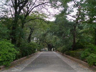 華蔵寺公園遊園地の写真2