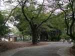華蔵寺公園遊園地の写真のサムネイル写真3