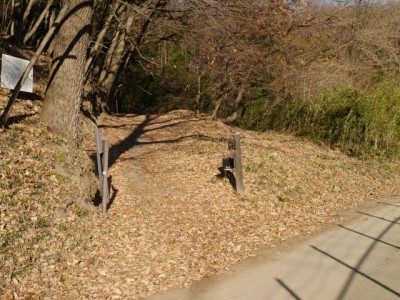 藪塚石切り場跡の写真