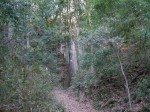 藪塚石切り場跡の写真のサムネイル写真5