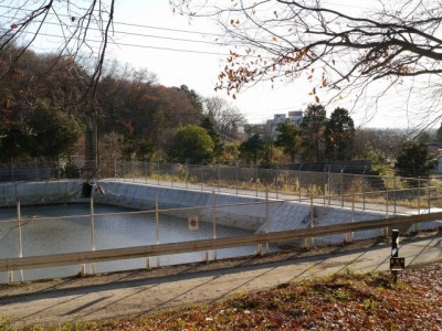 藪塚石切り場跡の写真17