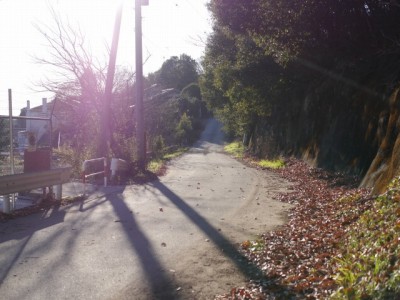 藪塚石切り場跡の写真19