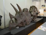 神流町恐竜センターの写真のサムネイル写真9