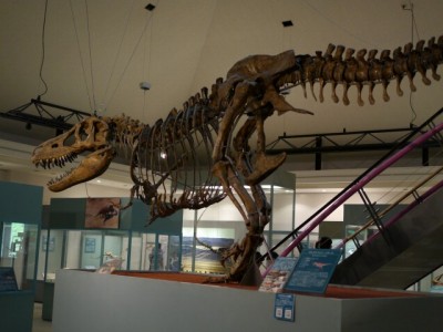 神流町恐竜センターの写真10